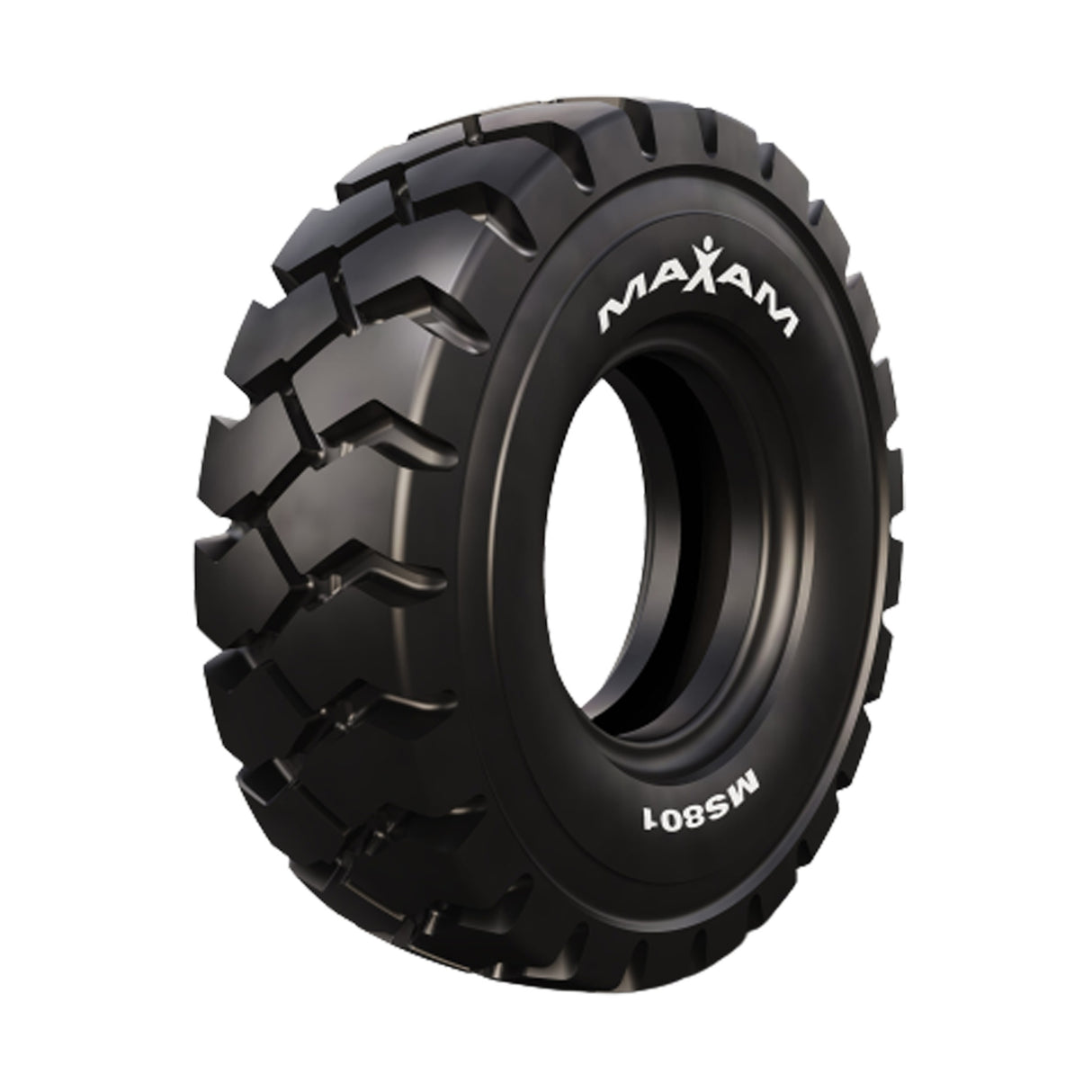 12.00-2024PRMaxamMS801TT